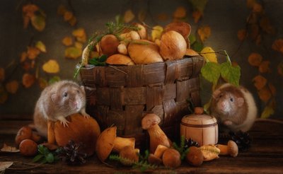 Autumn Mushroom Friends by Eleonora Grigorjeva