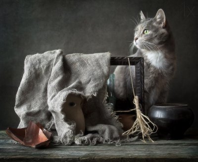 Vintage Still Life Cat by Eleonora Grigorjeva