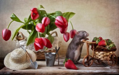 Whimsical Garden Rat by Eleonora Grigorjeva