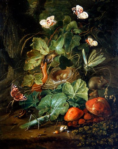 A Forest Floor Still Life with Fruits and Butterflies by Elias van den Broeck