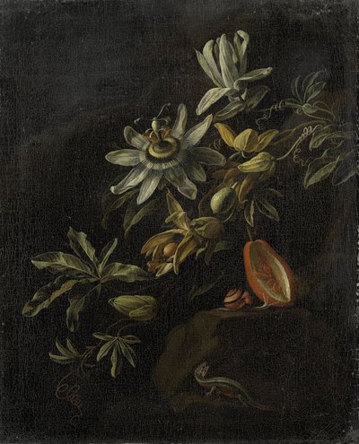 Still Life with Passionflowers by Elias van den Broeck