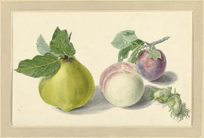 A Pear, Peach, Plum, and Nuts by Elisabeth Geertruida van de Kasteele