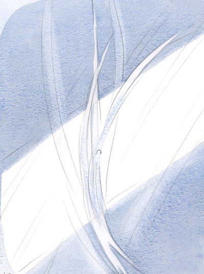 In the Evening Light, Each Creature, Hovering in Its Rightful Place, and in Marvellous Movements, Echoed the Stately Dance of the Angels in Heaven by Elizabeth Wang
