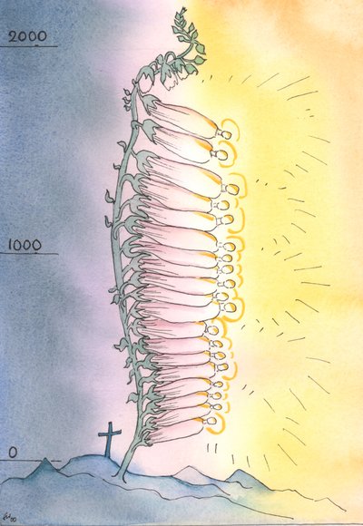 The Church puts out living shoots of holiness to flower in every age by Elizabeth Wang