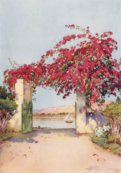 A Garden in Luxor by Ella Du Cane