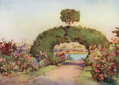 A Rose-Garden at Giza, and View of Cairo by Ella Du Cane