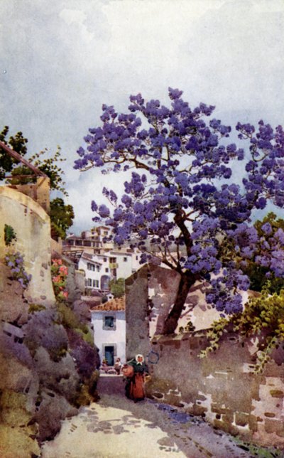 Jackaranda Tree by Ella Du Cane