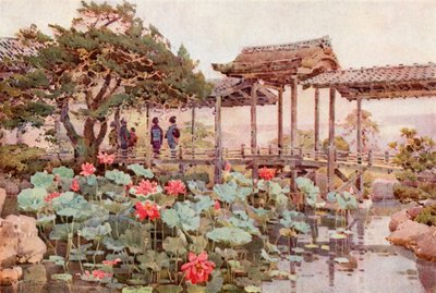 Lotus at Kodaiji by Ella Du Cane