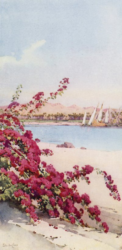 Mountains to the North of Assuan from a Garden on Elephantine Island by Ella Du Cane