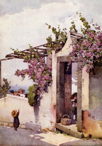 On the Torrinhas Road by Ella Du Cane