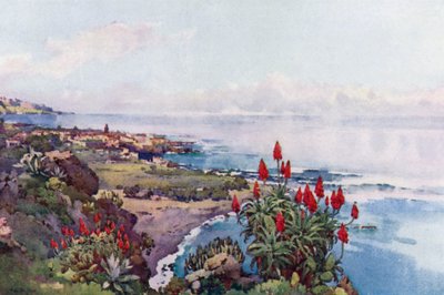 Puerto Orotava by Ella Du Cane