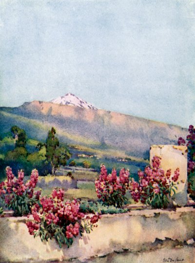 The Peak, from Villa Orotava by Ella Du Cane