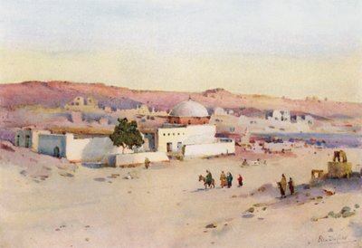 The Road from Assuan to Shellal by Ella Du Cane