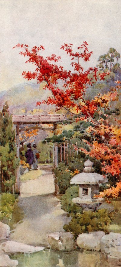 The Scarlet Maple by Ella Du Cane