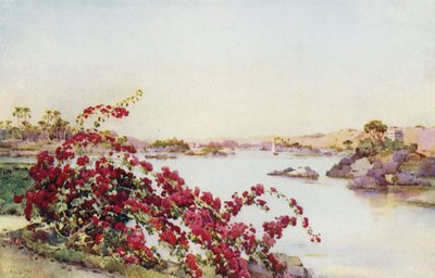 View from the Sirdar
