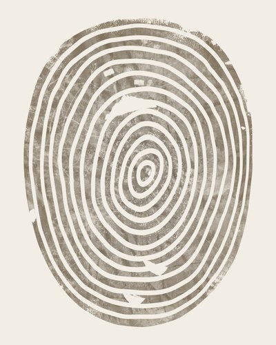 Abstract Tree Ring Pattern by Ema Paraschiv