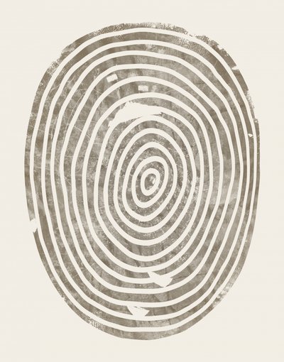 Abstract Tree Rings by Ema Paraschiv