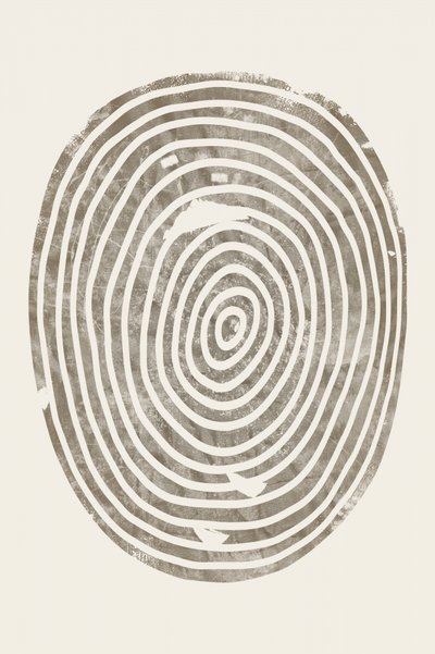 Concentric Wood Rings by Ema Paraschiv