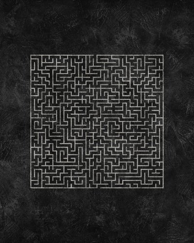 Intricate Maze Challenge by Ema Paraschiv