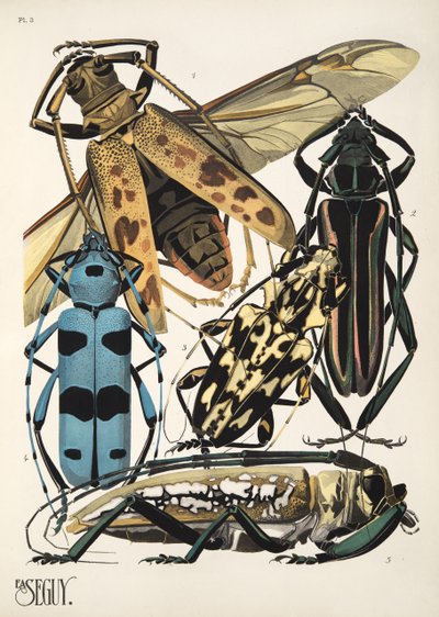 Plate 3 from Insects, pub. 1930