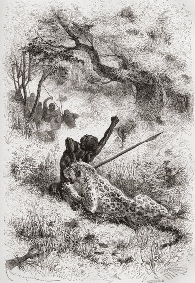 A Leopard Attacking an African, illustration from 