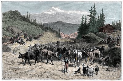 Alps: the jodel or departure of herds (cows, goats) towards the pastures. Illustration by Emile Bayard for the book 