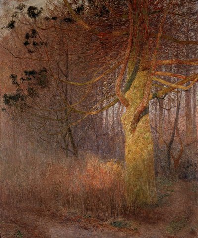 Tree in the Sun by Emile Claus