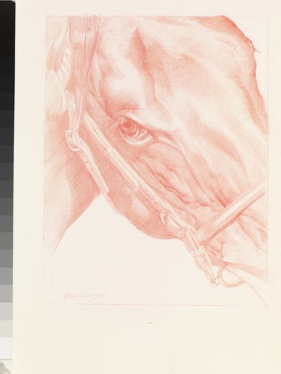 Portrait Head, 2012 by Emma Kennaway