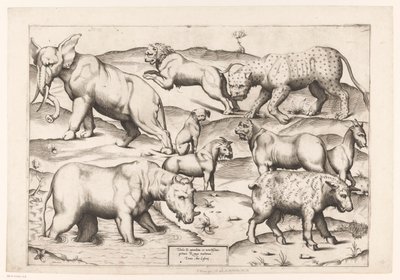 Nine Animals by Enea Vico (attributed to)
