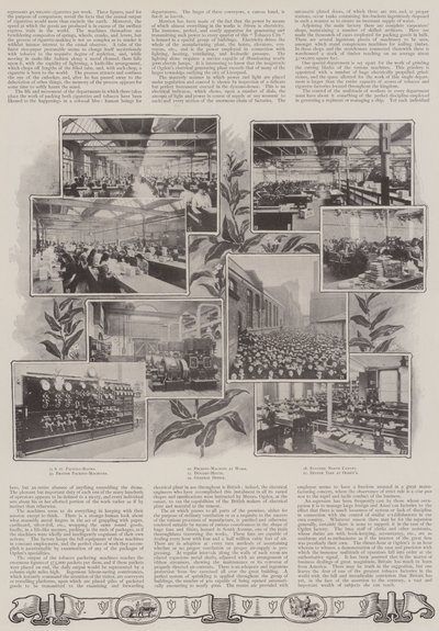 A British Object Lesson by English Photographer