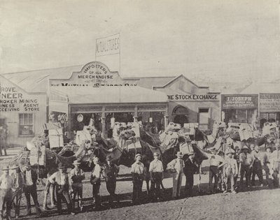 A Camel Train, Coolgardie, West Australia by English Photographer
