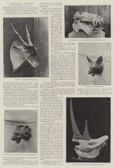 A Naturalist