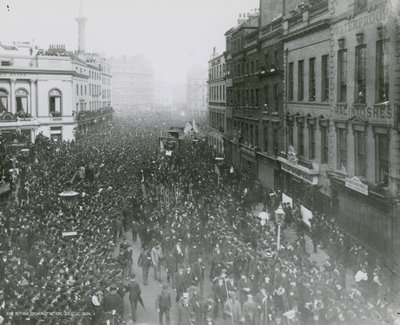 Aerial View of the Reform Demonstration by English Photographer