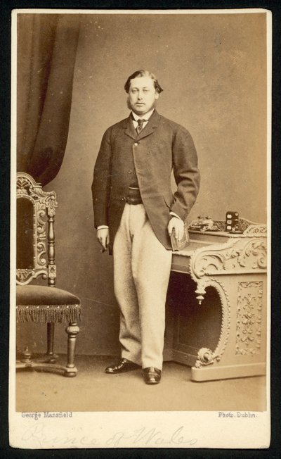 Albert Edward, Prince of Wales by English Photographer