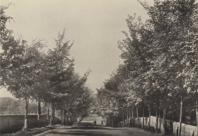 Aldeburgh, Westfields Avenue by English Photographer