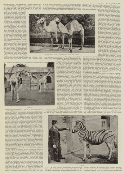 An Amateur Photographer at the Zoo by English Photographer