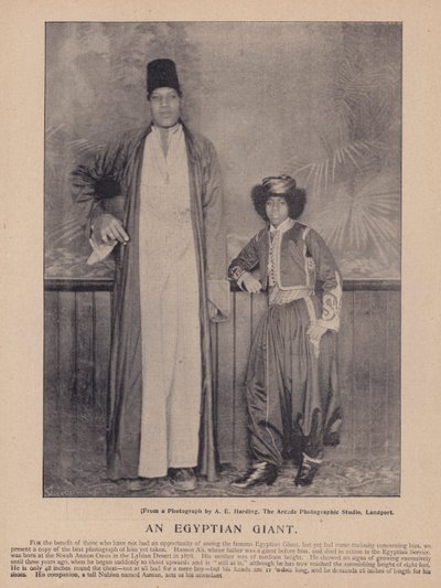 An Egyptian giant by English Photographer