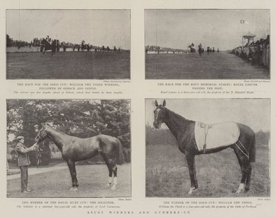 Ascot Winners and Runners-Up by English Photographer