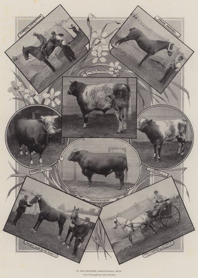 At the Leicester Agricultural Show by English Photographer