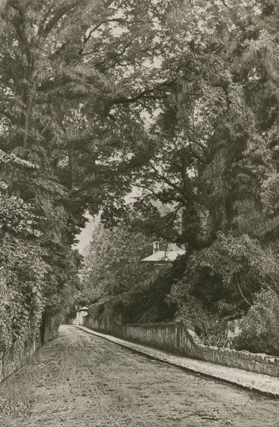Bonchurch Road, Isle of Wight by English Photographer
