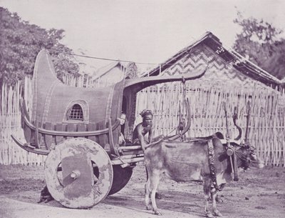 Burmese Carriage and Pair by English Photographer