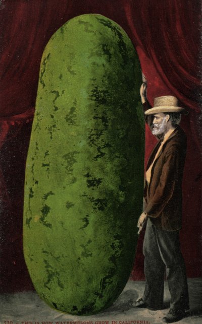 Californian watermelon by English Photographer