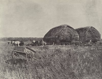 Canning Downs Station by English Photographer