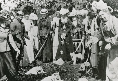 Cat show at the Royal Botanic Gardens, Westminster, in 1900 by English Photographer