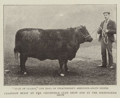 Champion Beast at the Smithfield Club Show and at the Birmingham Show by English Photographer