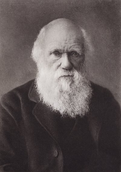 Charles Darwin, portrait, c 1880 by English Photographer