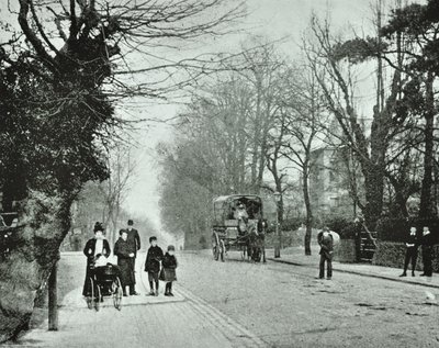 Crouch End Hill, Crouch End, 1894 by English Photographer