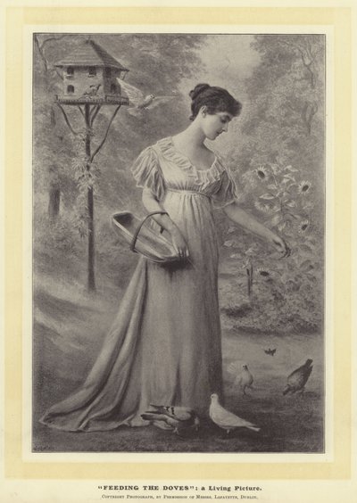 Feeding The Doves: a Living Picture by English Photographer