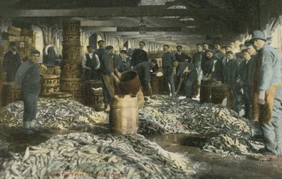 Fishing at Lowestoft by English Photographer