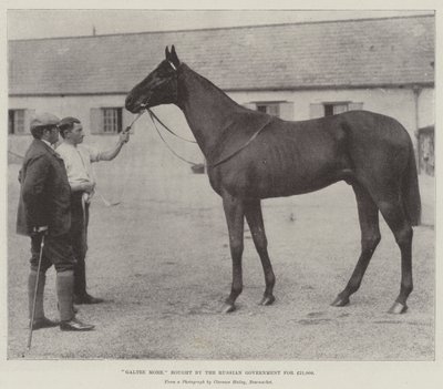 Galtee More, Bought by the Russian Government for £21,000 by English Photographer